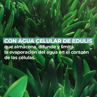 Ritual Calmante