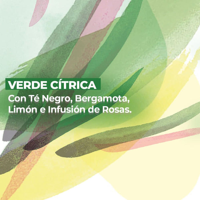 EAU DE PARFUM VERTE ENVOLEE 100 mL