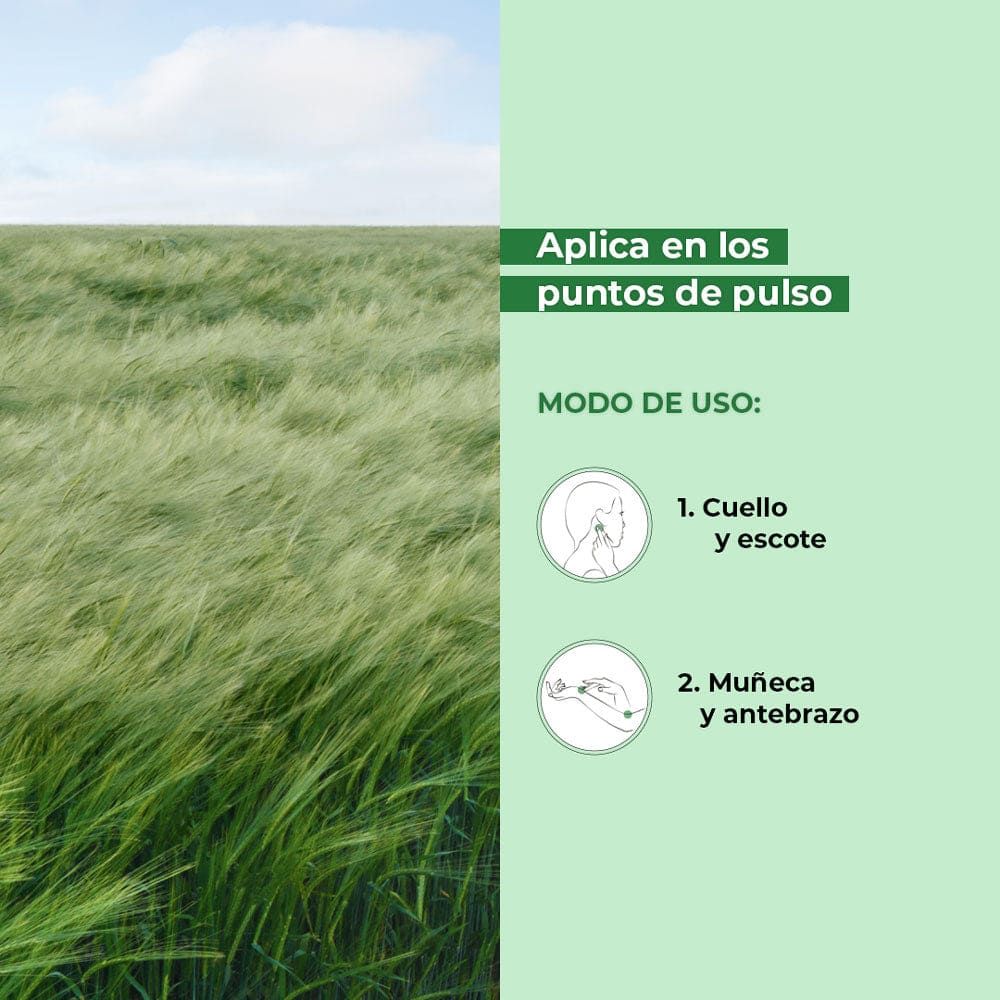 EAU DE PARFUM VERTE ENVOLEE 100 mL