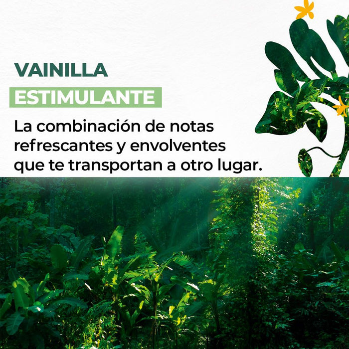 LECHE CORPORAL VAINILLA 390 mL