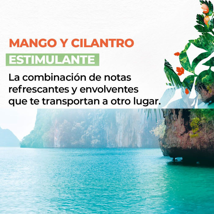 JABÓN LÍQUIDO DE MANOS MANGO 190 mL