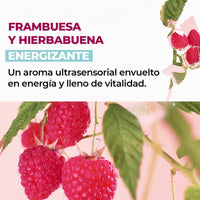 BRUMA PERFUMADA FRAMBUESA 100 mL
