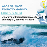 Kit viajero minis con empaque viajero premium