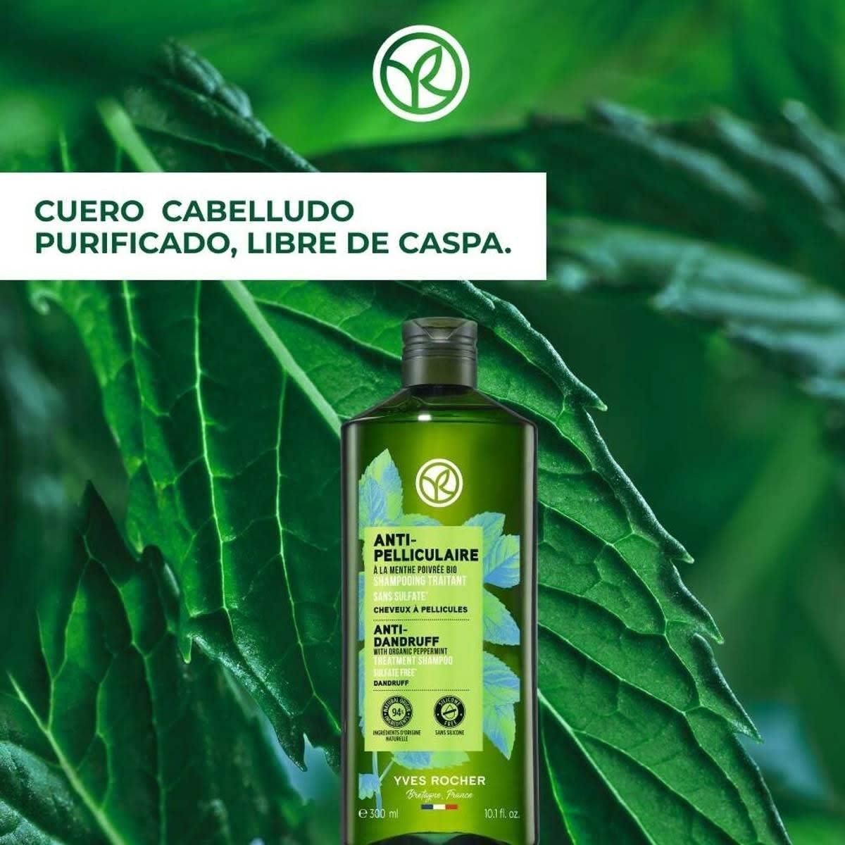 SHAMPOO TRATANTE ANTICASPA 300 mL