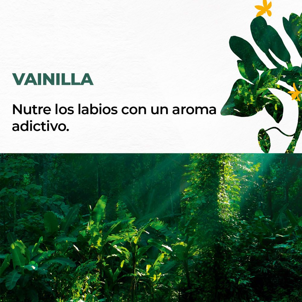 BÁLSAMO LABIAL VAINILLA 4,8 g