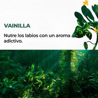 BÁLSAMO LABIAL VAINILLA 4,8 g