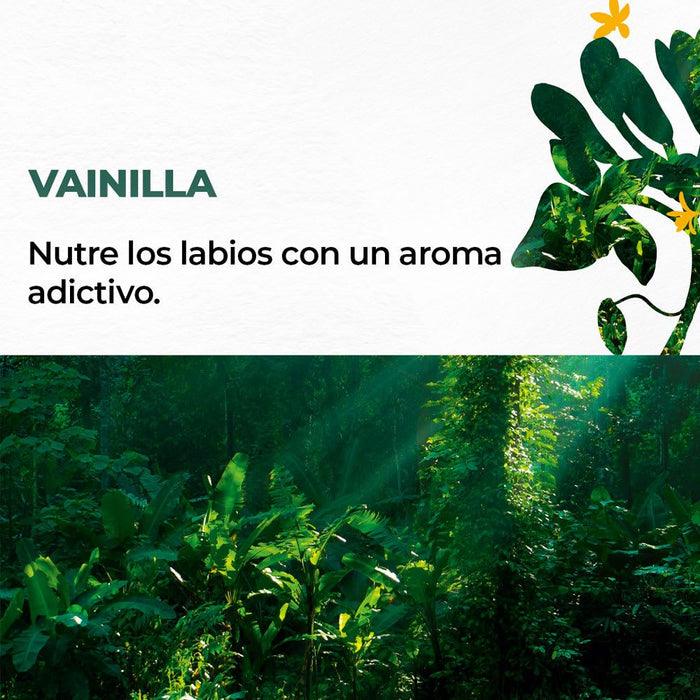 BÁLSAMO LABIAL VAINILLA 4,8 g