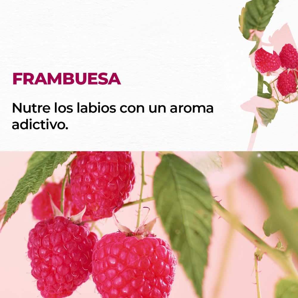 BÁLSAMO LABIAL FRAMBUESA 4,8 g