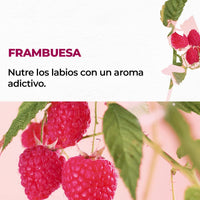 BÁLSAMO LABIAL FRAMBUESA 4,8 g