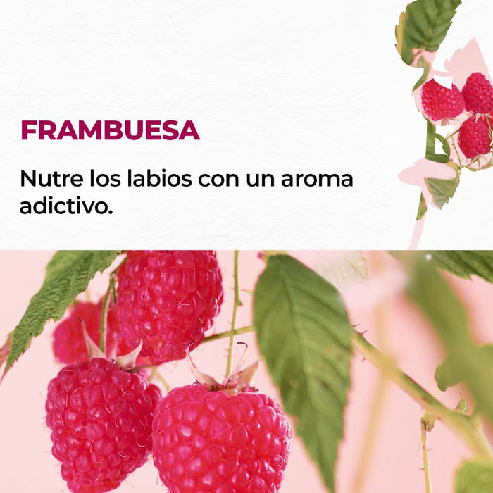 BÁLSAMO LABIAL FRAMBUESA 4,8 g