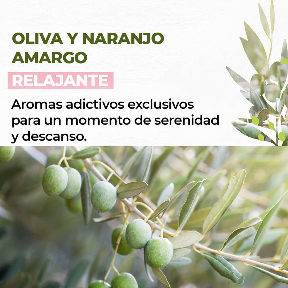 Ritual Oliva