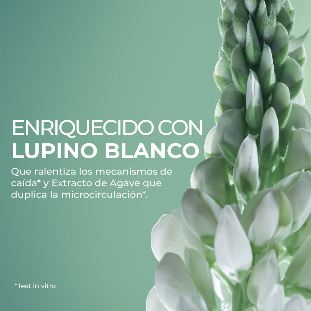 Kit viajero minis con empaque viajero premium