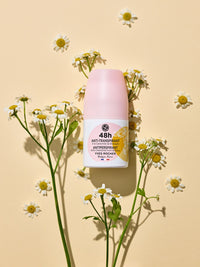 48H Chamomile Unisex Antiperspirant 50 mL