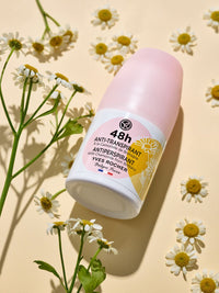 48H Chamomile Unisex Antiperspirant 50 mL