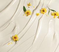 CRÈME MAINS NUTRITIVE 75 mL